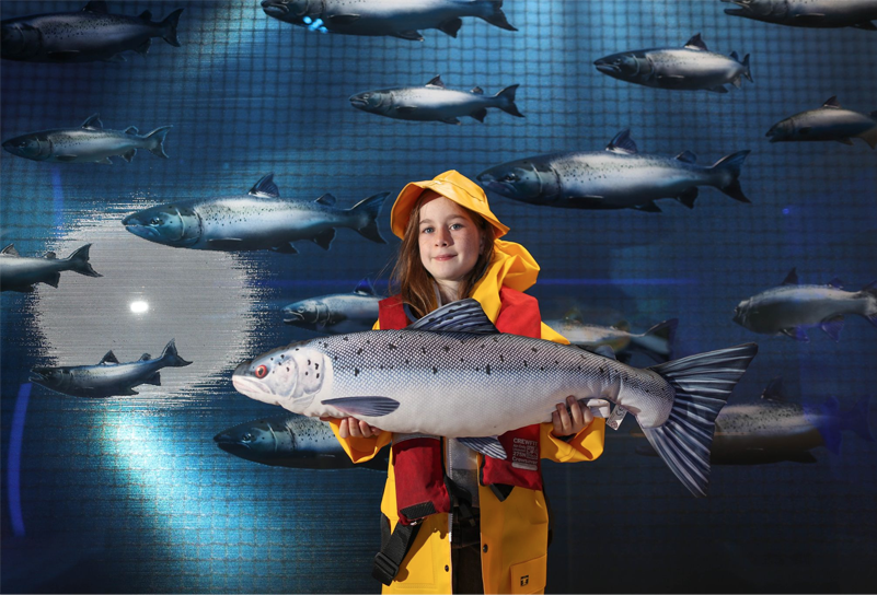 Taste the Atlantic - Salmon Experience at the Burren Smokehouse Lisdoonvarna